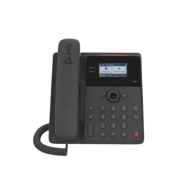 Is the Poly Edge B10 IP Phone for home or work use with Google Voice?